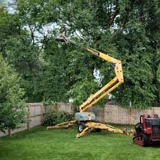 How Our Tree Care Process Works  in  Eastover, NC